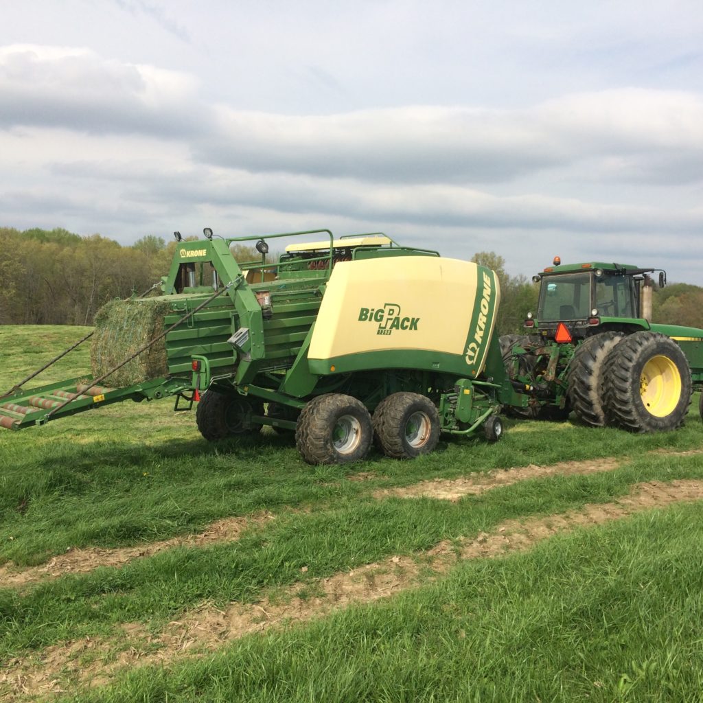 Wheat Straw Bedding Archives HayMap