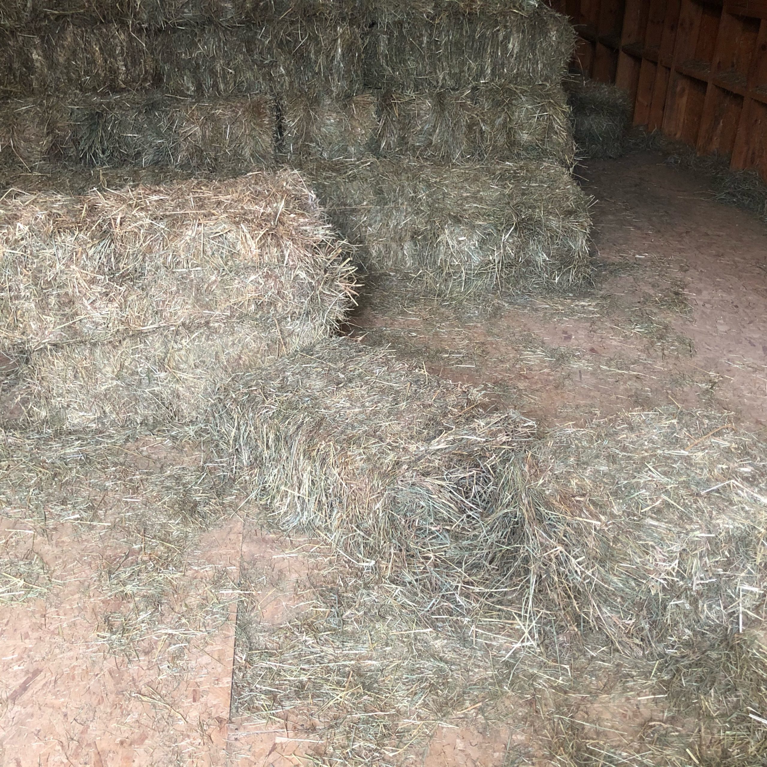 Brome for Sale In Silverwood, MI HayMap