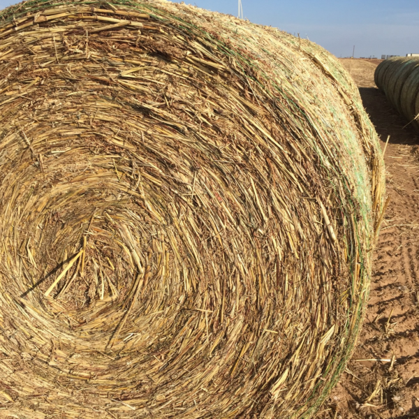 Hay Grazer Archives HayMap