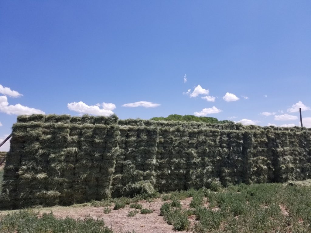 Hay For Sale In Wyoming HayMap